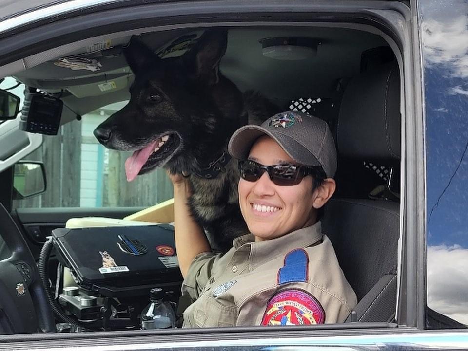 k9 with officer in car