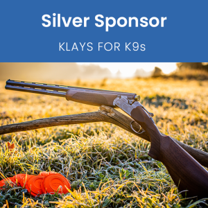 Silver Sponsor